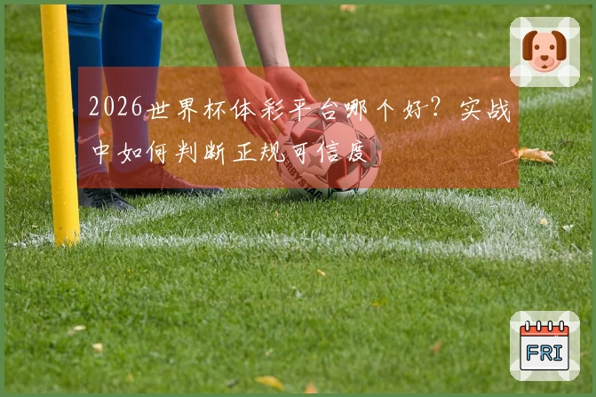 2026世界杯体彩平台哪个好?实战中如何判断正规可信度